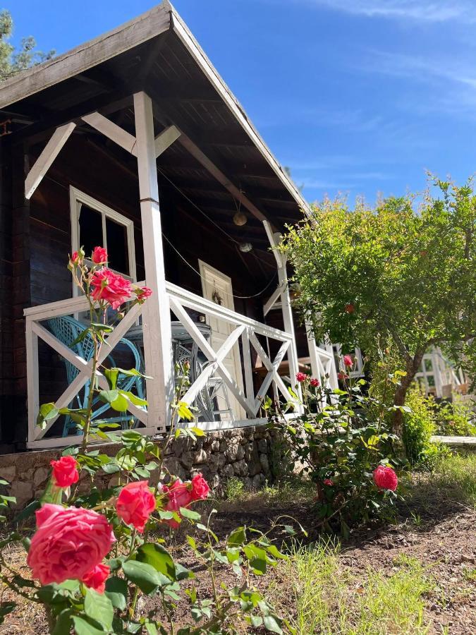 فندق Kumlucaفي  Angels Garden المظهر الخارجي الصورة